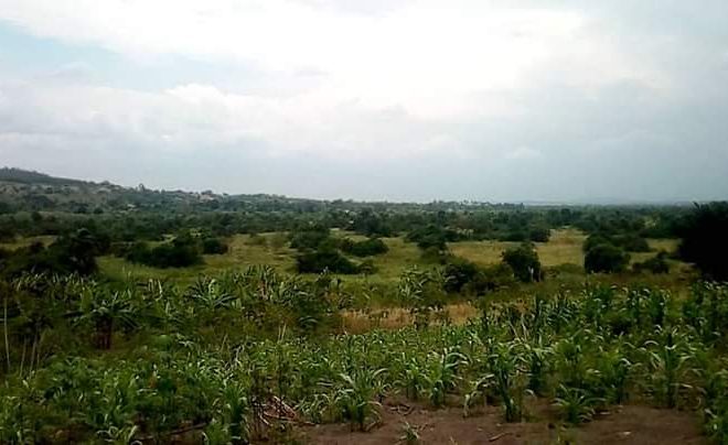 Land for sale in Kikyusa Luwero Uganda