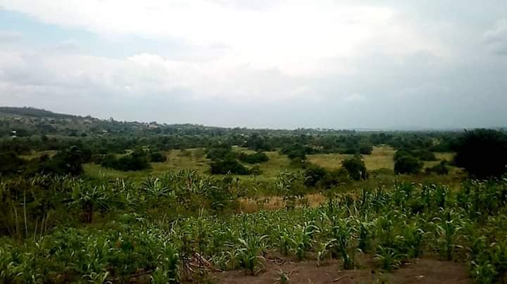 Land for sale in Kikyusa Luwero Uganda