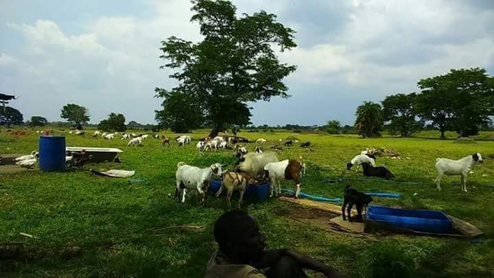 Farmland for sale in Namasagali Kamuli district