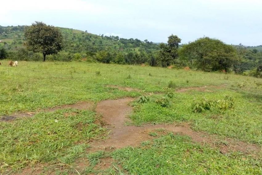 Land sale Uganda