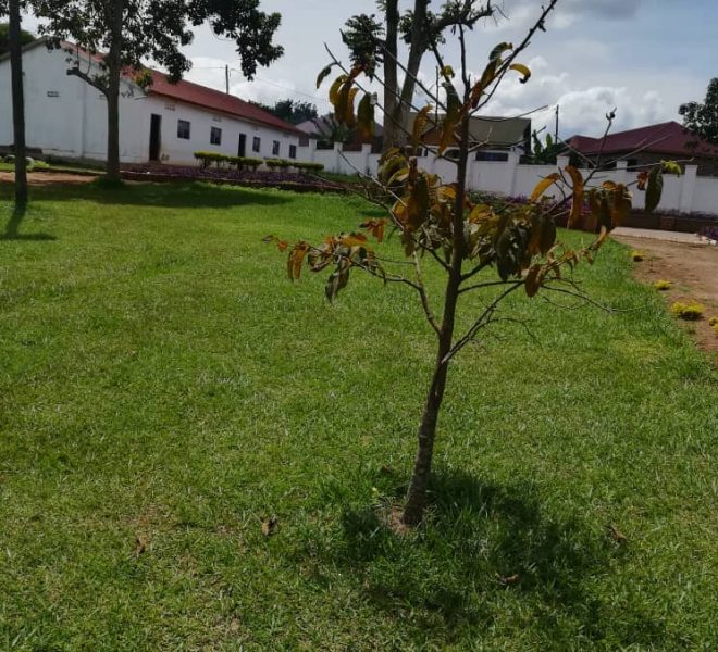 School for sale in Uganda