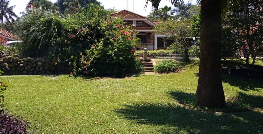 Kololo Bungalow for Sale 1